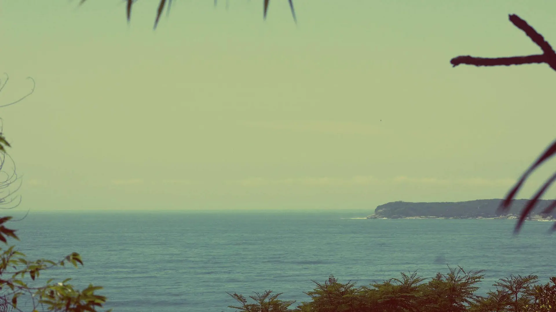 The View Hostel フロリアノポリス 0*,